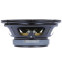 Eminence Delta 10A